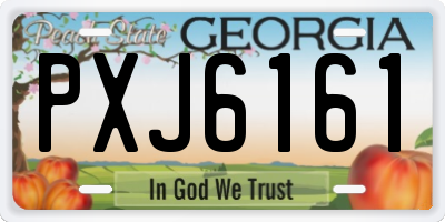 GA license plate PXJ6161