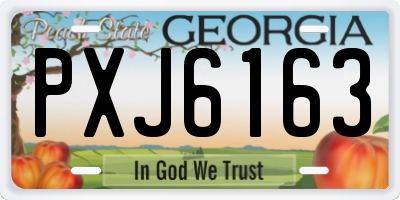 GA license plate PXJ6163