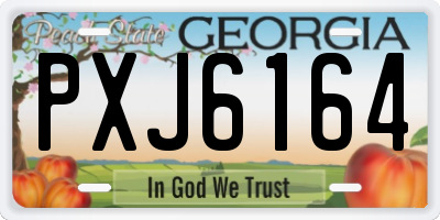 GA license plate PXJ6164
