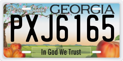 GA license plate PXJ6165