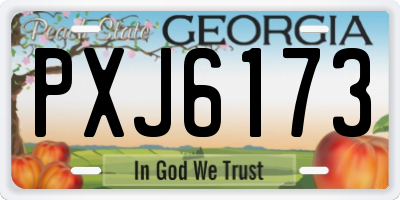 GA license plate PXJ6173