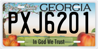 GA license plate PXJ6201
