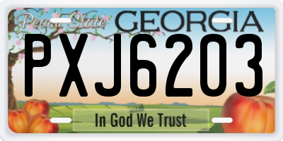 GA license plate PXJ6203