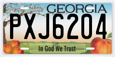 GA license plate PXJ6204
