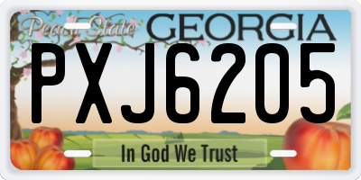 GA license plate PXJ6205