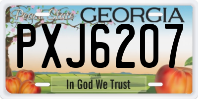GA license plate PXJ6207