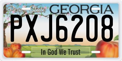 GA license plate PXJ6208