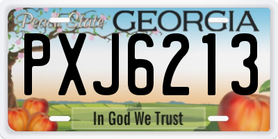 GA license plate PXJ6213
