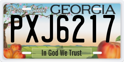 GA license plate PXJ6217