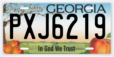GA license plate PXJ6219