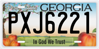 GA license plate PXJ6221