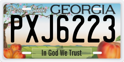 GA license plate PXJ6223