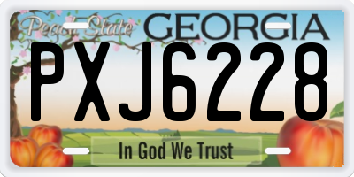 GA license plate PXJ6228