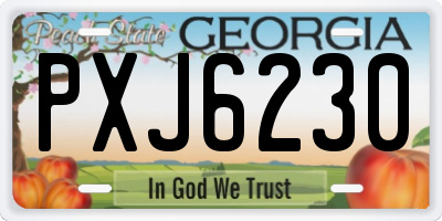 GA license plate PXJ6230