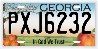 GA license plate PXJ6232