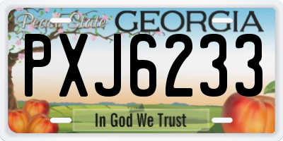 GA license plate PXJ6233