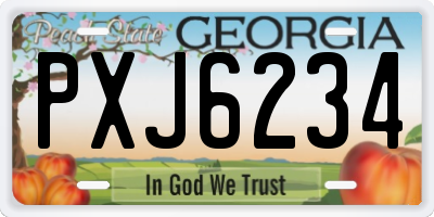 GA license plate PXJ6234