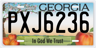 GA license plate PXJ6236