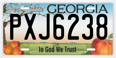 GA license plate PXJ6238
