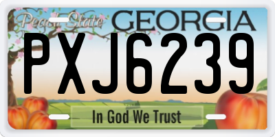 GA license plate PXJ6239