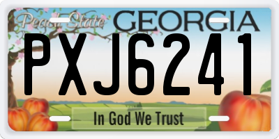 GA license plate PXJ6241