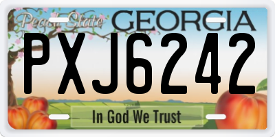 GA license plate PXJ6242