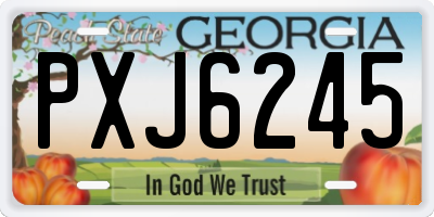 GA license plate PXJ6245
