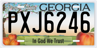 GA license plate PXJ6246