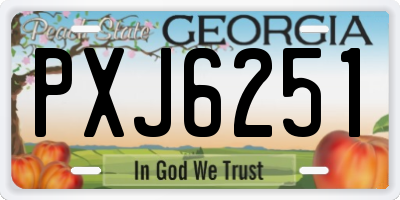 GA license plate PXJ6251