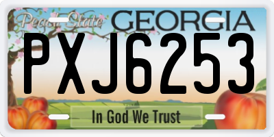 GA license plate PXJ6253