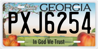 GA license plate PXJ6254