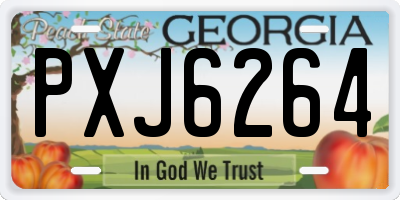 GA license plate PXJ6264