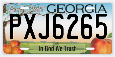 GA license plate PXJ6265