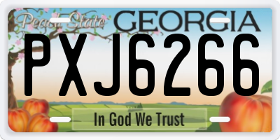 GA license plate PXJ6266
