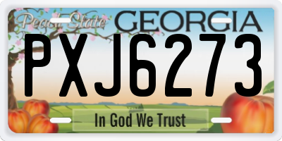 GA license plate PXJ6273