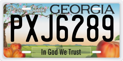 GA license plate PXJ6289