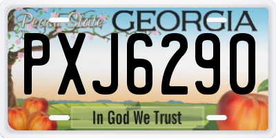 GA license plate PXJ6290