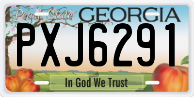 GA license plate PXJ6291