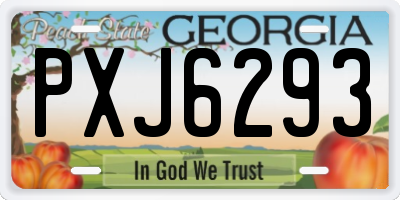 GA license plate PXJ6293