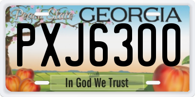 GA license plate PXJ6300