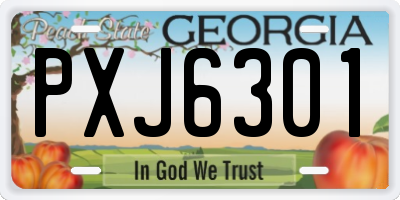 GA license plate PXJ6301