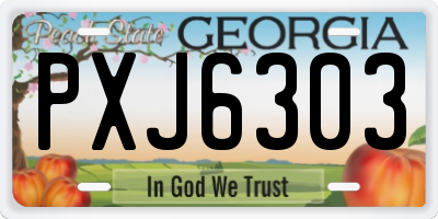 GA license plate PXJ6303