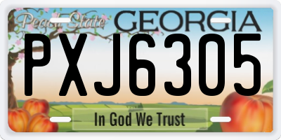 GA license plate PXJ6305