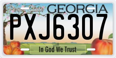 GA license plate PXJ6307