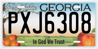 GA license plate PXJ6308