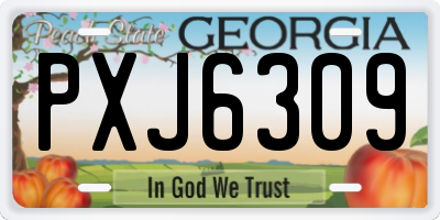 GA license plate PXJ6309