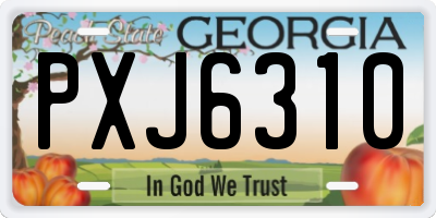 GA license plate PXJ6310
