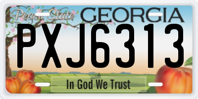 GA license plate PXJ6313