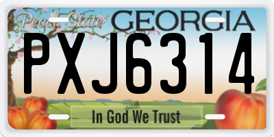 GA license plate PXJ6314