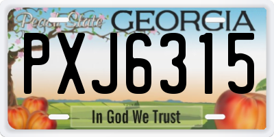 GA license plate PXJ6315
